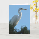 Großes Egret in Sunny Florida Karte (Gelbe Blume)