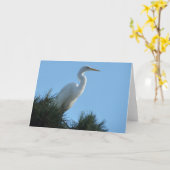 Großes Egret in Sunny Florida Karte (Gelbe Blume)