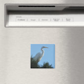 Großes Egret in Sunny Florida Magnet (In Situ (Geschirrspüler))