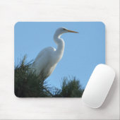 Großes Egret in Sunny Florida Mousepad (Mit Mouse)