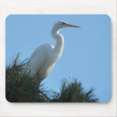 Großes Egret in Sunny Florida Mousepad (Vorne)