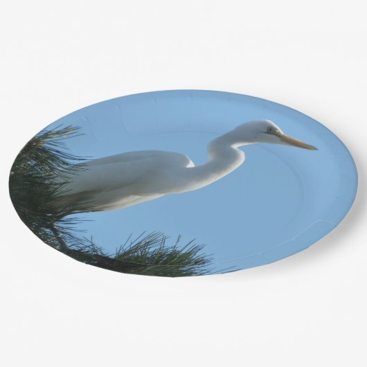 Großes Egret in Sunny Florida Pappteller (Schrägansicht)
