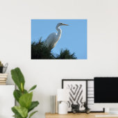 Großes Egret in Sunny Florida Poster (Heimbüro)
