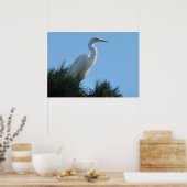 Großes Egret in Sunny Florida Poster (Küche)