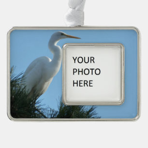 Großes Egret in Sunny Florida Rahmen-Ornament Silber