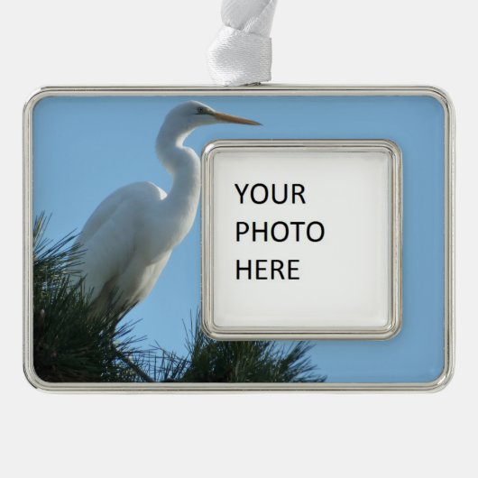 Großes Egret in Sunny Florida Rahmen-Ornament Silber (Vorderseite)