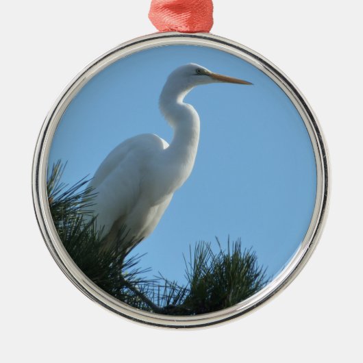 Großes Egret in Sunny Florida Silbernes Ornament (Vorne)