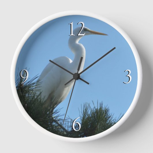 Großes Egret in Sunny Florida Uhr (Vorderseite)