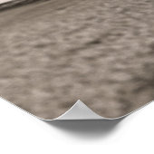 Großes Elefantenposter drucken Poster (Ecke)