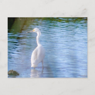 Großes Erbe in Feuchtgebieten Postkarte