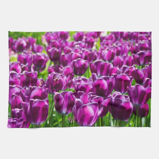 Grosses Feld lila Tulpen Geschirrtuch (Horizontal)