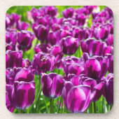 Grosses Feld lila Tulpen Getränkeuntersetzer (Vorderseite)