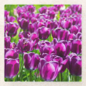 Grosses Feld lila Tulpen Glasuntersetzer (Vorderseite)