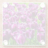 Grosses Feld lila Tulpen Glasuntersetzer (Rückseite)