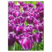 Grosses Feld lila Tulpen Klemmbrett (Rückseite)