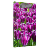 Grosses Feld lila Tulpen Klemmbrett (Rechts)