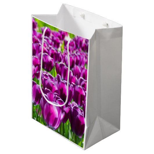 Grosses Feld lila Tulpen Mittlere Geschenktüte (Vorderseite Schrägansicht)