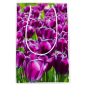 Grosses Feld lila Tulpen Mittlere Geschenktüte (Vorderseite)