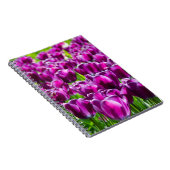 Grosses Feld lila Tulpen Notizblock (Rechte Seite)