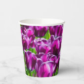 Grosses Feld lila Tulpen Pappbecher (Links)