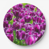 Grosses Feld lila Tulpen Pappteller (Vorderseite)