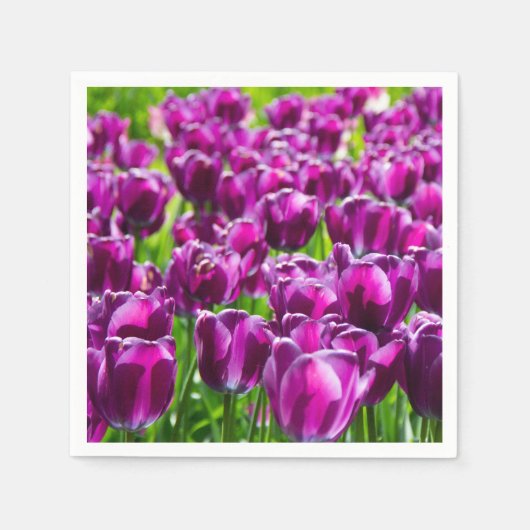Grosses Feld lila Tulpen Serviette (Vorderseite)