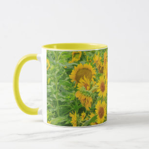 Großes Feld mit Sonnenblumen nahe Moses Lake, WA 2 Tasse