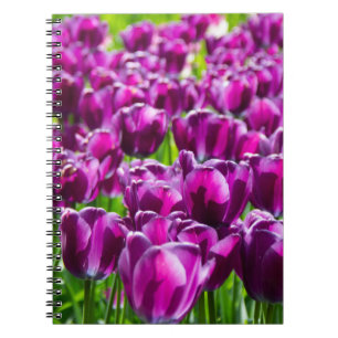 Großes Feld mit violetten Tulpen Notizblock
