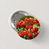 Grosses Feld roter Tulpen Button (Vorne & Hinten)