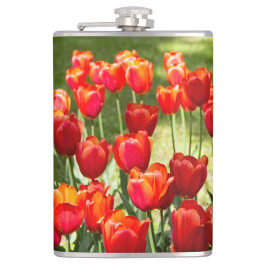 Grosses Feld roter Tulpen Flachmann (Vorderseite)