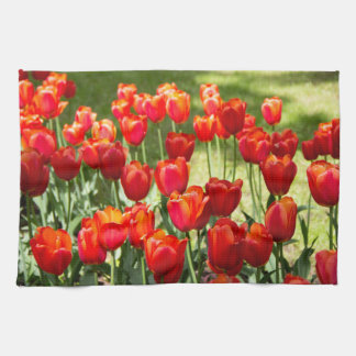 Grosses Feld roter Tulpen Geschirrtuch