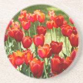 Grosses Feld roter Tulpen Getränkeuntersetzer (Vorne)