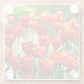 Grosses Feld roter Tulpen Glasuntersetzer (Rückseite)