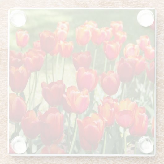 Grosses Feld roter Tulpen Glasuntersetzer (Rückseite)
