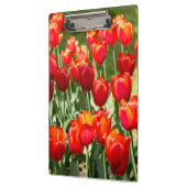 Grosses Feld roter Tulpen Klemmbrett (Links)