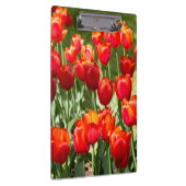Grosses Feld roter Tulpen Klemmbrett (Rechts)