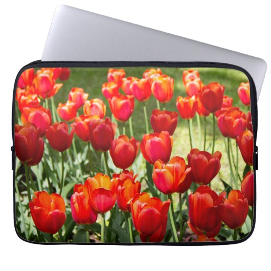Grosses Feld roter Tulpen Laptopschutzhülle (Vorderseite)