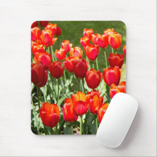 Grosses Feld roter Tulpen Mousepad