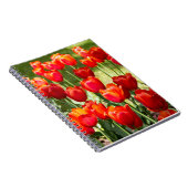 Grosses Feld roter Tulpen Notizblock (Rechte Seite)