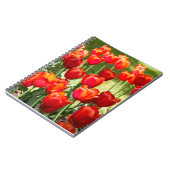 Grosses Feld roter Tulpen Notizblock (Linke Seite)