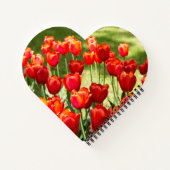 Grosses Feld roter Tulpen Notizblock (Rückseite)