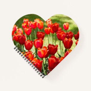 Grosses Feld roter Tulpen Notizblock