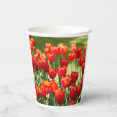 Grosses Feld roter Tulpen Pappbecher (Rückseite)