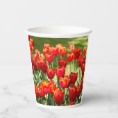 Grosses Feld roter Tulpen Pappbecher (Vorderseite)