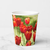 Grosses Feld roter Tulpen Pappbecher (Rückseite)