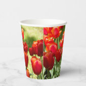 Grosses Feld roter Tulpen Pappbecher (Rechts)