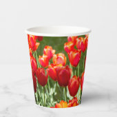 Grosses Feld roter Tulpen Pappbecher (Vorderseite)