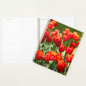 Grosses Feld roter Tulpen Planer (Anzeige)