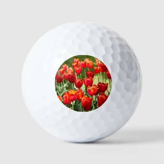 Grosses Feld roter Tulpen-Puppe Golfball (Vorderseite)