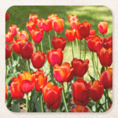 Grosses Feld roter Tulpen Rechteckiger Pappuntersetzer (Vorderseite)